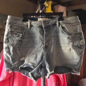 Torrid Denim Shorts